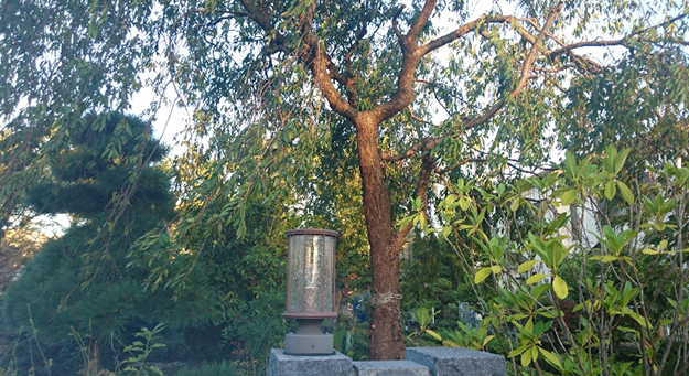 門灯 新規取付 門灯 新規取付